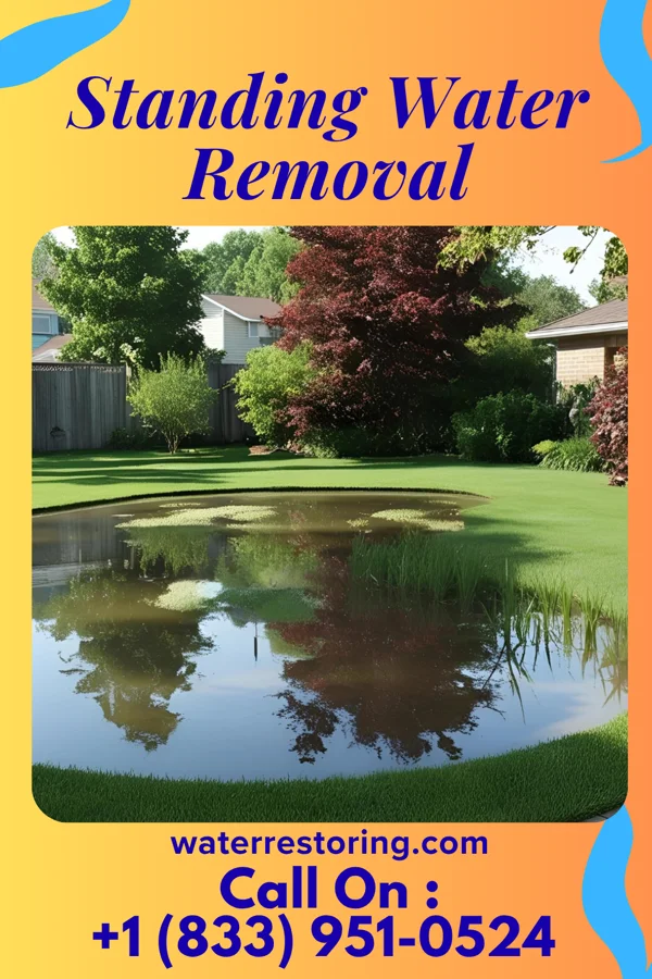 Standing Water Removal in Minidoka, ID